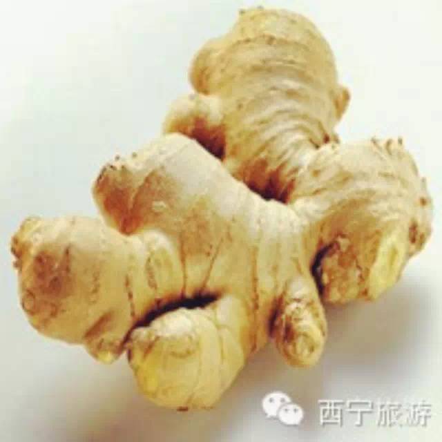 天冷!?不怕,青海人有“姜拌湯”-七不姜 生姜養生網-明德CSA生態姜園&明安農業