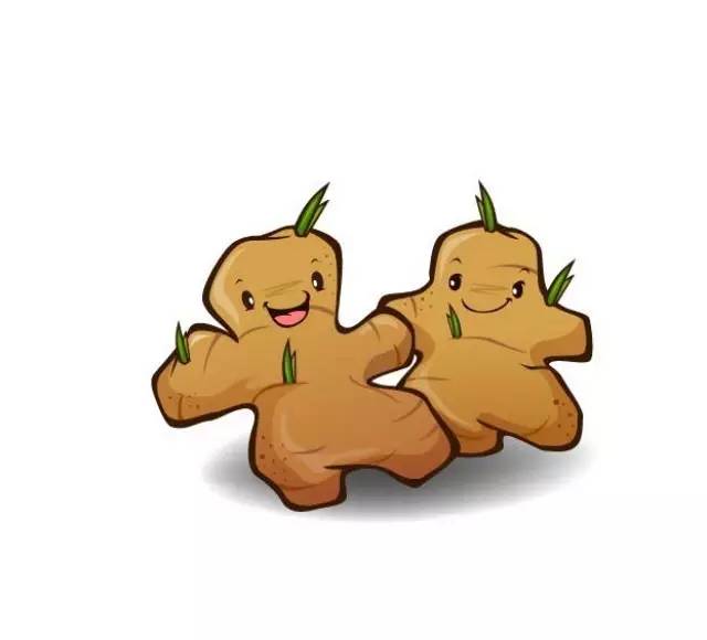 美女變生姜,我們一直在“姜”錯就錯?||二馬漢字評書第29講-七不姜 生姜養生網-明德CSA生態姜園&明安農業