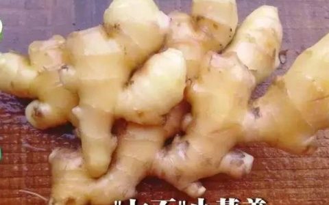濕地養生 | 冬吃蘿卜,夏吃姜!這樣吃姜最健康(附食譜)-七不姜 生姜養生網-明德CSA生態姜園&明安農業