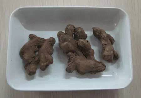 和中医药更“亲”的,不是生姜而是干姜! 和中医药更“亲”的,不是生姜而是干姜!