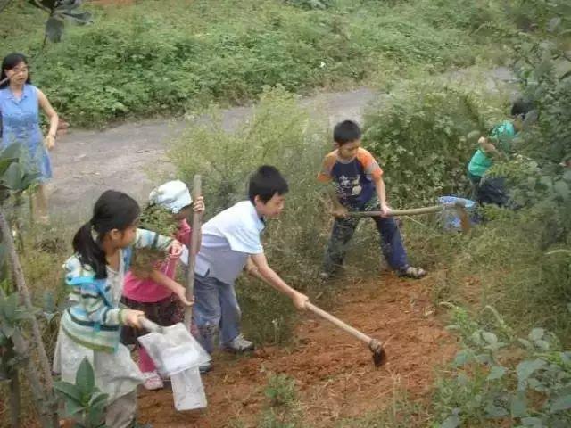 原始点健康耕学夏令营 -自然 生态 乐和 健康