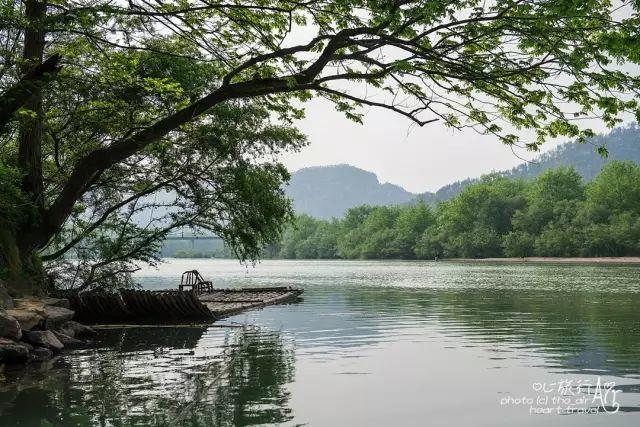 浙江｜秀水古道 人间仙居- 秀美仙居 慈孝仁庄 明德生态姜园“七不”良心小黄姜发源地