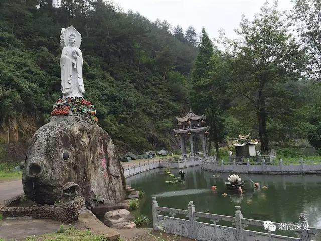 传统村落--溪港乡仁庄村（古村行013）- 秀美仙居 慈孝仁庄 明德生态姜园“七不”良心小黄姜发源地