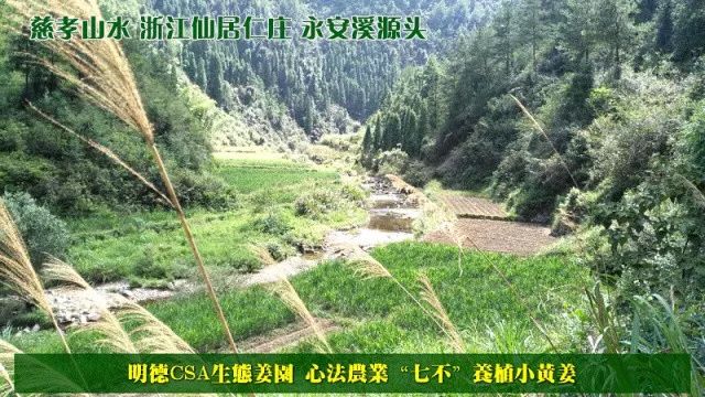 我们是谁？我们要干什么？关于我们-心法农业 七不姜 明德CSA生态姜园..还有心农人...