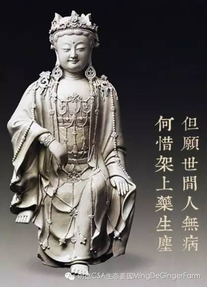 我们是谁？我们要干什么？关于我们-心法农业 七不姜 明德CSA生态姜园..还有心农人...