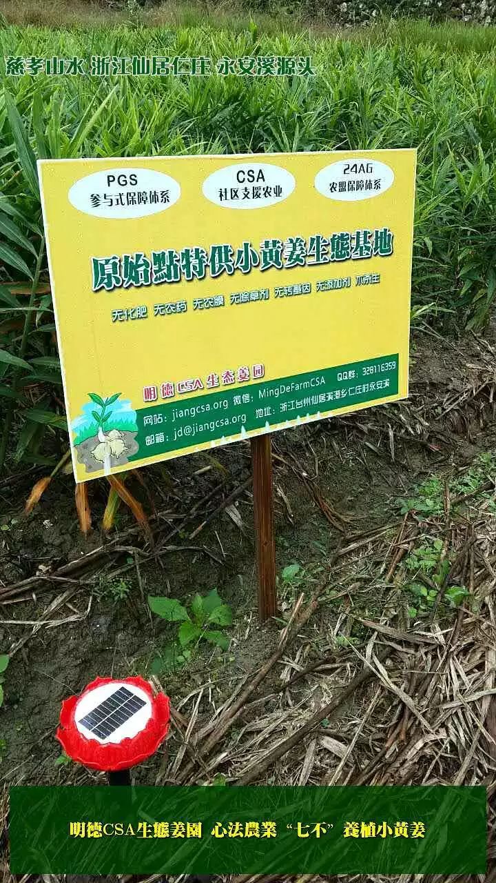 我们是谁？我们要干什么？关于我们-心法农业 七不姜 明德CSA生态姜园..还有心农人...