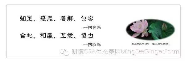 我们是谁？我们要干什么？关于我们-心法农业 七不姜 明德CSA生态姜园..还有心农人...