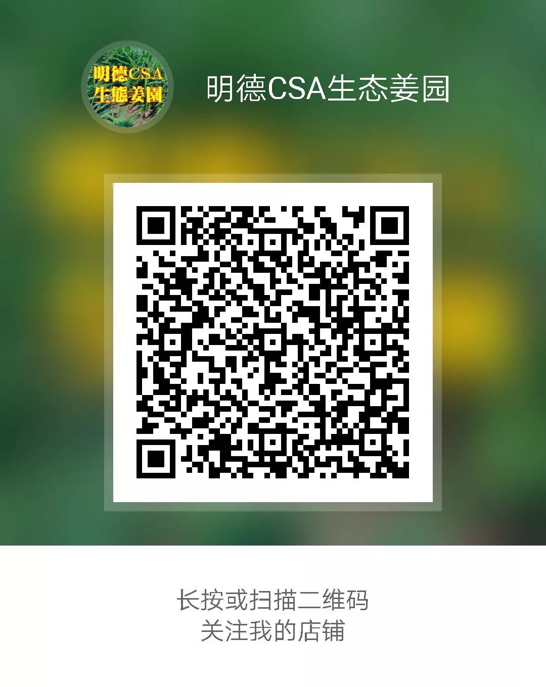 我们是谁？我们要干什么？关于我们-心法农业 七不姜 明德CSA生态姜园..还有心农人...
