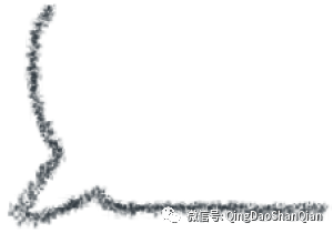 原始点的姜汤灌肠案例 肠梗阻 便秘 痔疮-七不姜 生姜养生网-明德CSA生态姜园&明安农业