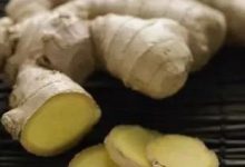 一起和孔子蘇軾徐霞客齊呼:吃姜啊吃姜啊-七不姜 生姜養生網-明德CSA生態姜園&明安農業