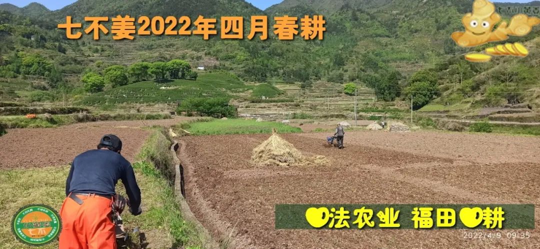 七不姜2022年四月春耕图